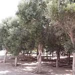 Apartament Olive Gran Tarajal