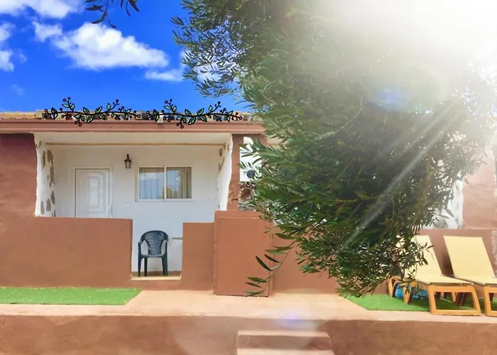 Olive * 그란 타라할