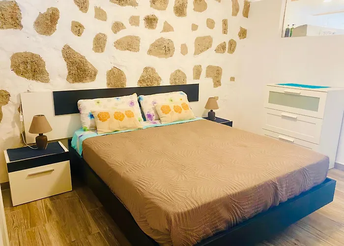 Olive * 그란 타라할