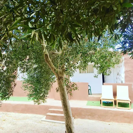 Apartman Olive *