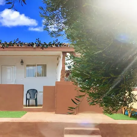 Olive * Gran Tarajal